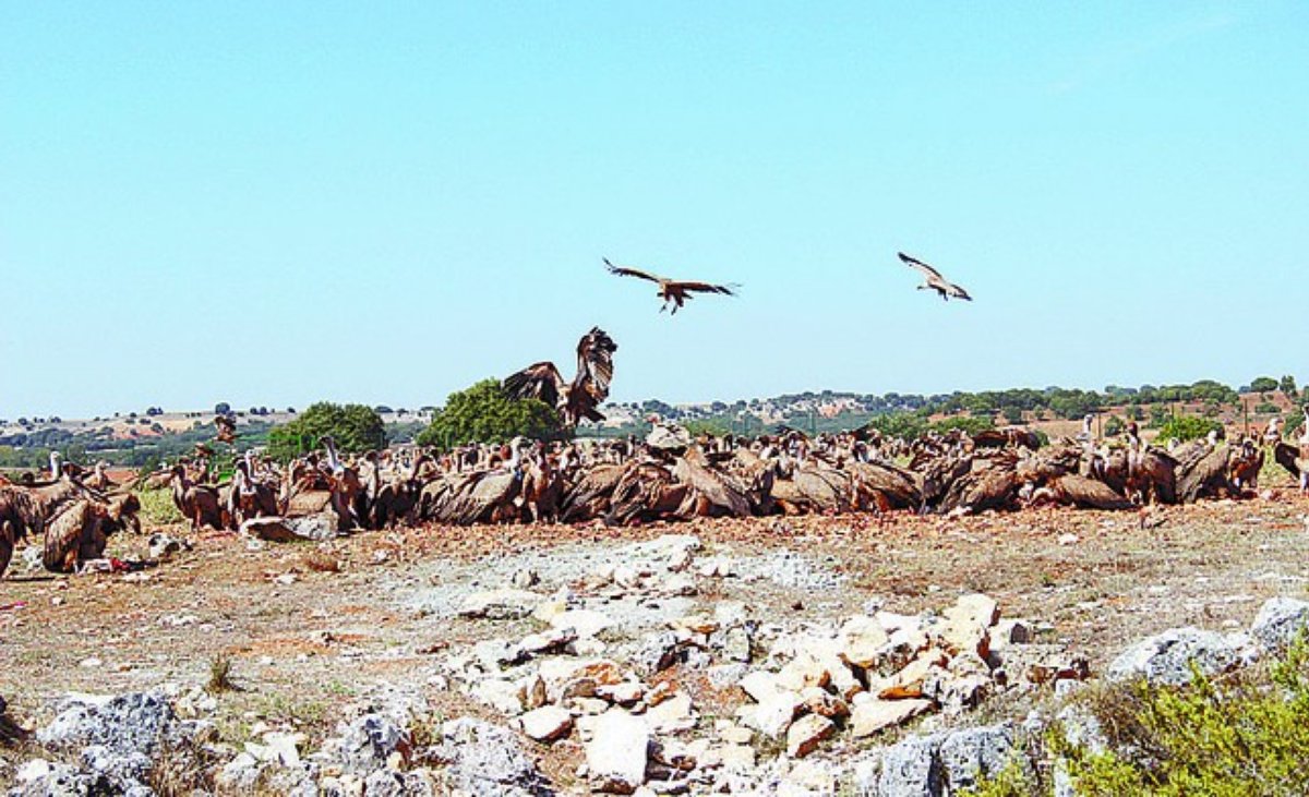 caleruegalugares007004.jpg