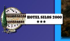 santo_domingo_de_silos019006.jpg