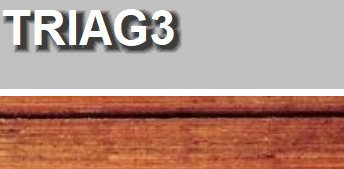 triag3002011.jpg